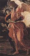 Sandro Botticelli Trinity with Mary Magdalene,St john the Baptist,Tobias  and the Angel (mk36) oil painting